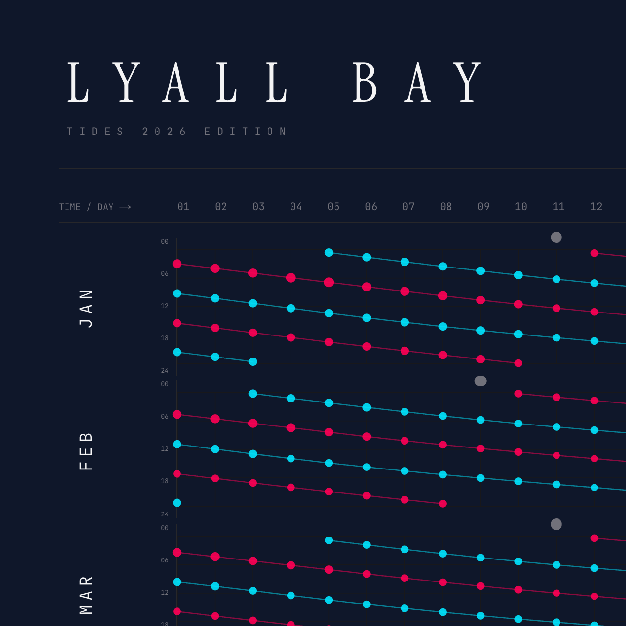 Lyall Bay poster detail — top left