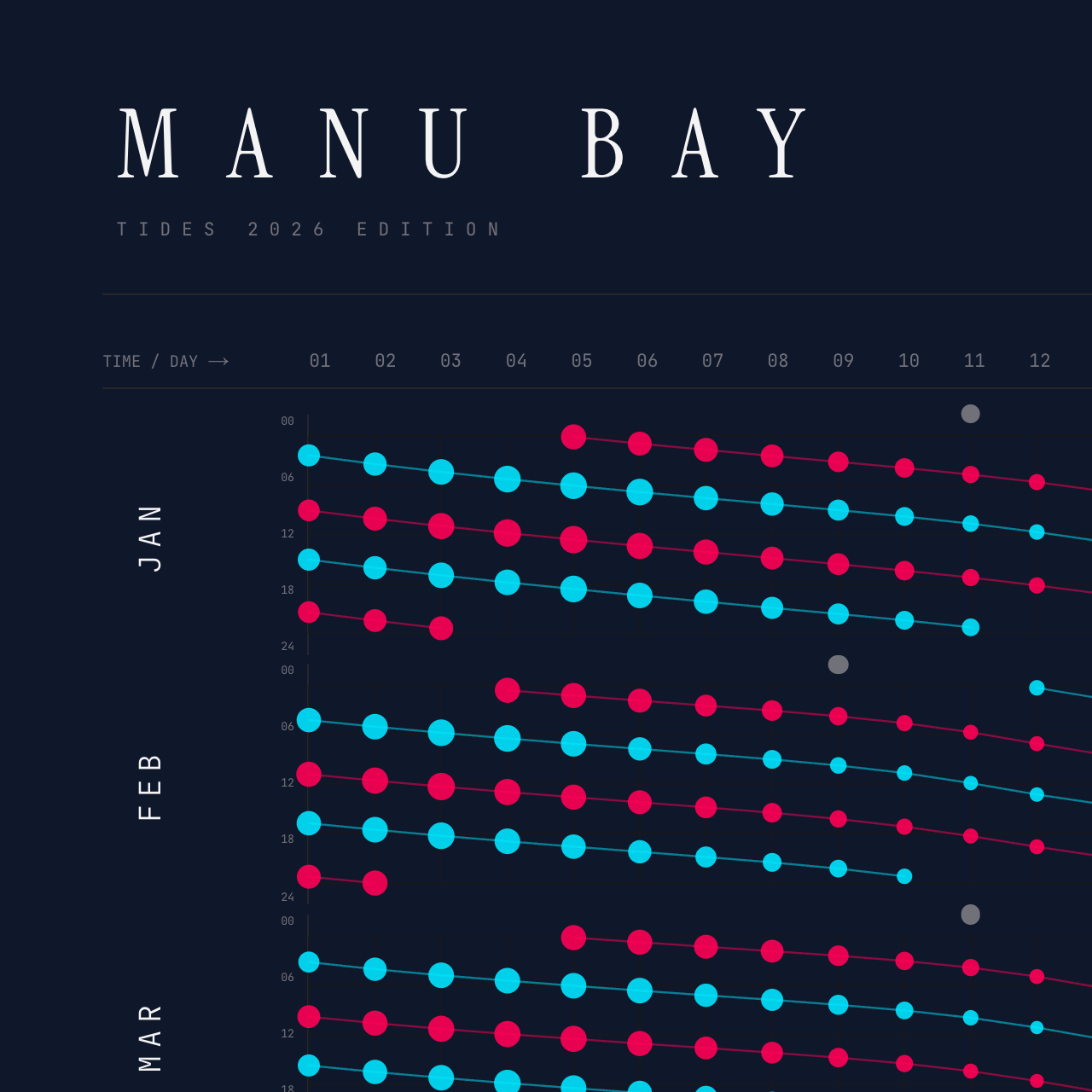 Manu Bay poster detail — top left