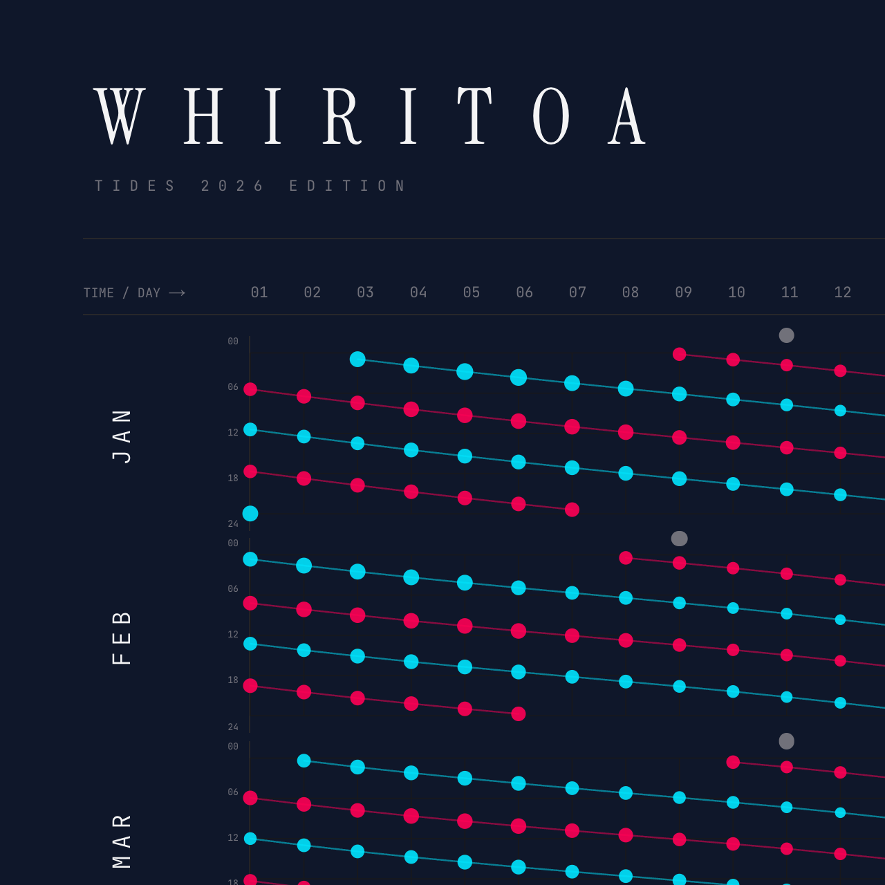 Whiritoa poster detail — top left