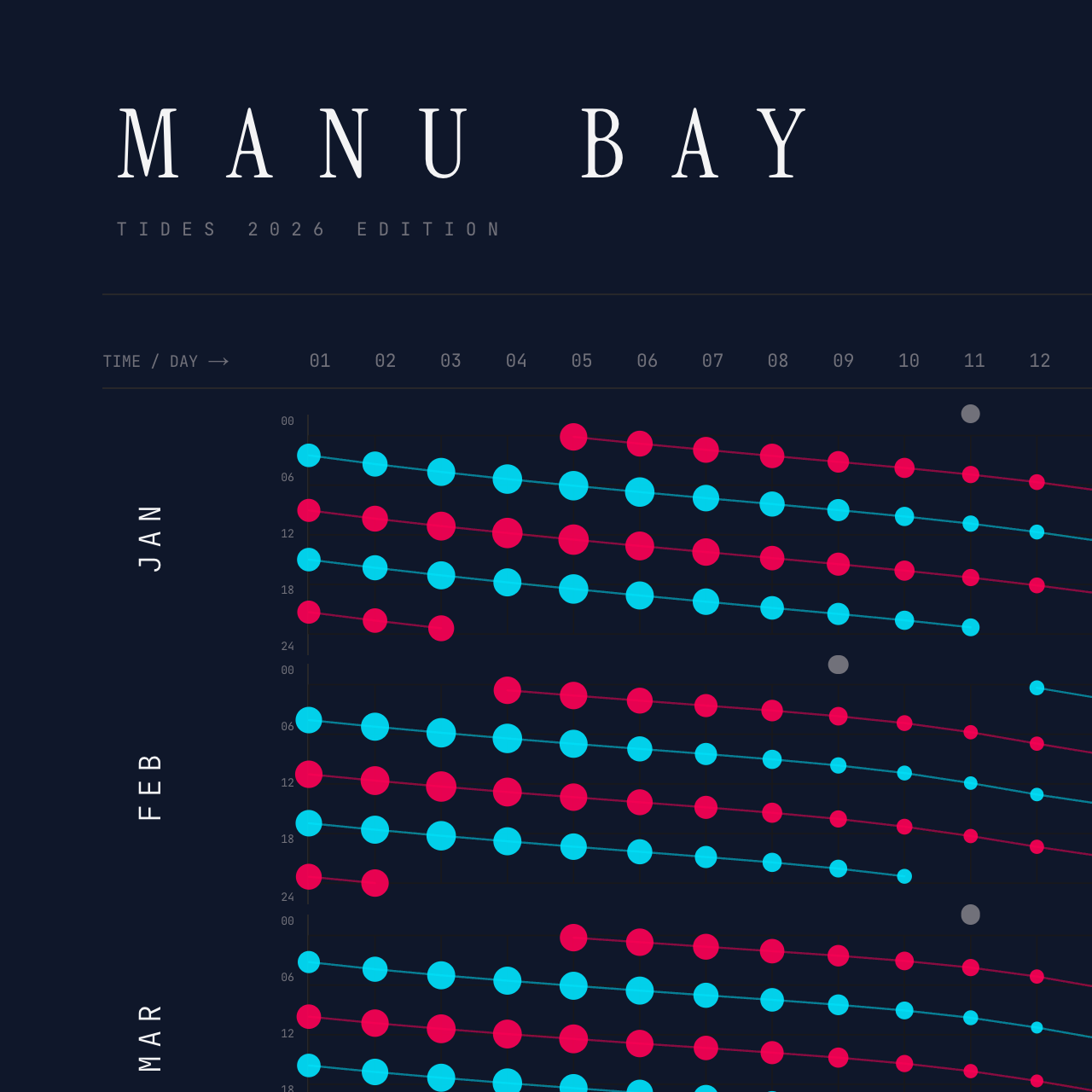Manu Bay poster detail — top left