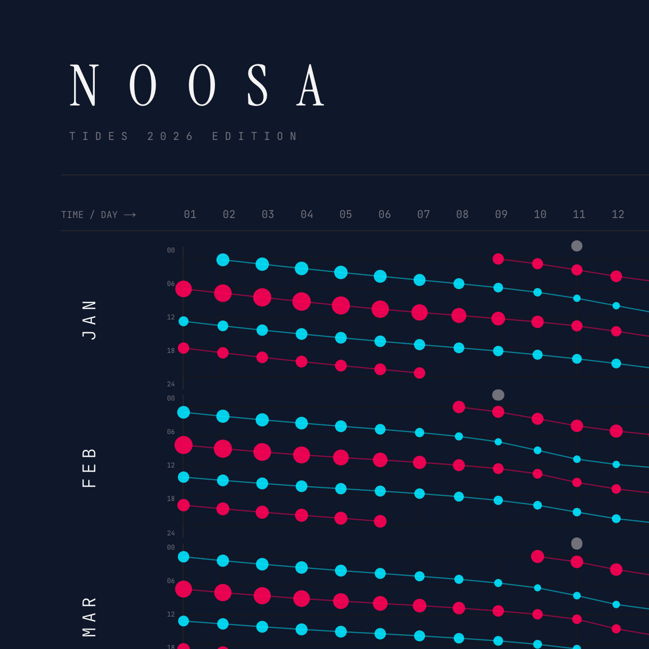 Noosa poster detail — top left